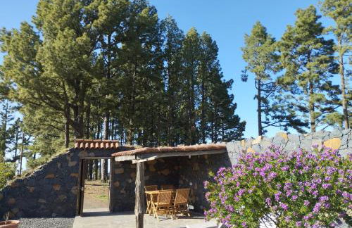 Finca Hortensia - Foto 21