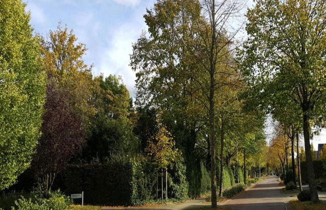 Ferienhaus Boschhuys - Foto 31