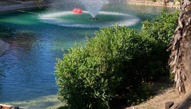 Garden View Apartment - Photo 4, Garden view