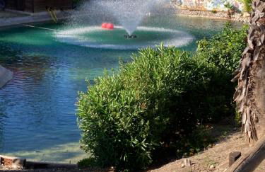 Garden View Apartment - Photo 4