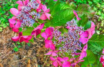 Stylish 3BR Retreat Close to Coast & Wineries - Foto 69