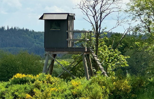 Holiday Home With Sauna in the Eifel National Park - Foto 37