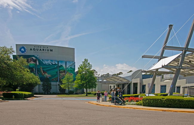 The Colony Virginia Beach by TripForth - Foto 70