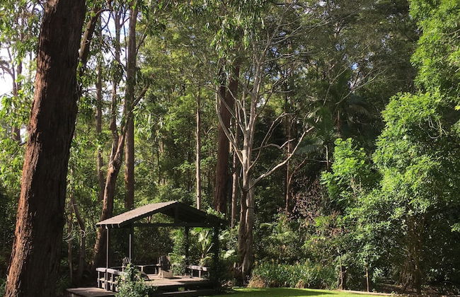 Mango Hill Farm - Foto 25