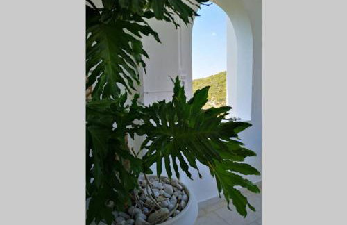 Village View - Photo 15