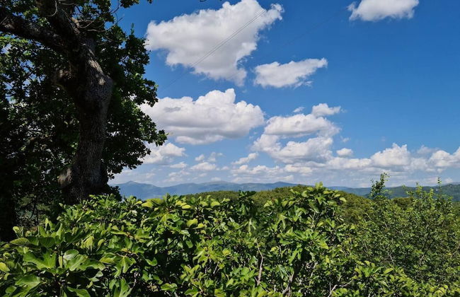 Summer Sale! Lovely 3-bed Apartment in Spoleto - Foto 29