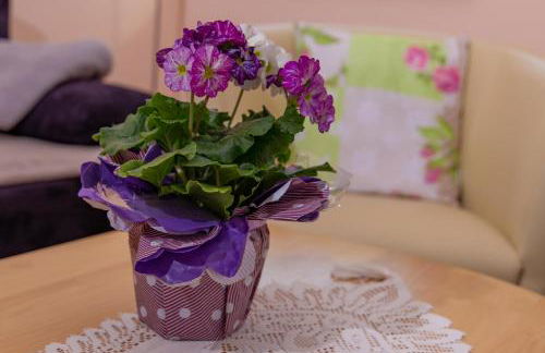 Kimi's House - FeWo - Foto 5