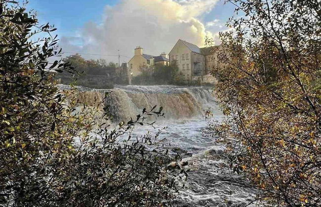 Rose Cottage in Ennistymon - Near Cliffs of Moher - Photo 15