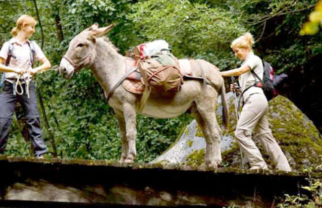 Holiday Apartment Waldquartier Wackerberg - Photo 9