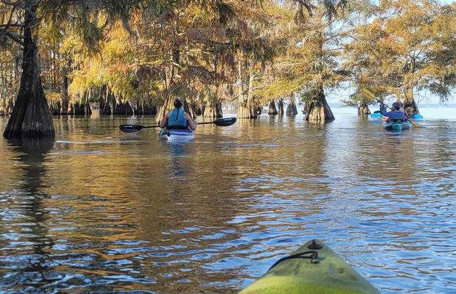 Bells Marina & Resort - Foto 69