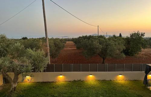 Villa Elena ΝΕΑΠΟΛΗ ΒΟΙΩΝ - Foto 23