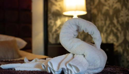 Palomino Lodge - Still Rabbit - Hot Tub - Yorkshire - Foto 1, towels