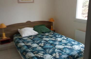 T3 village goelia rez de jardin - Photo 9