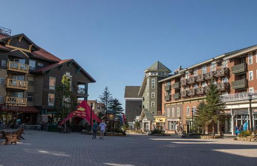 Snowshoe Village Ski-in - Ski-out Condo w Hot Tub - Foto 66