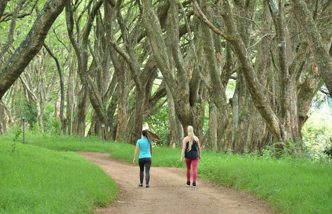 Highgrove House - Photo 26