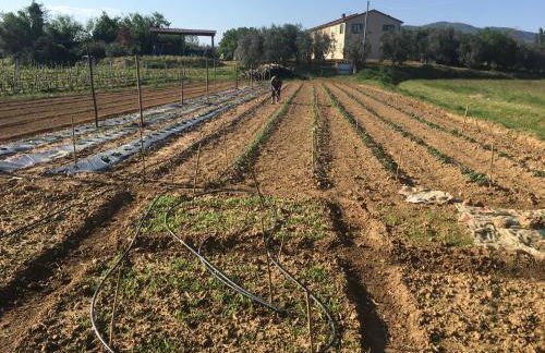 Agriturismo La Casina nel Vigneto - Foto 43