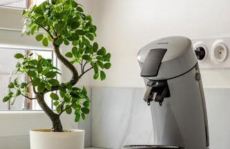 La Côte Verte Studio charme - Foto 8