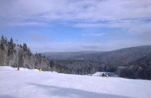 Chalet in Schnett Near Ski Slopes - Foto 40
