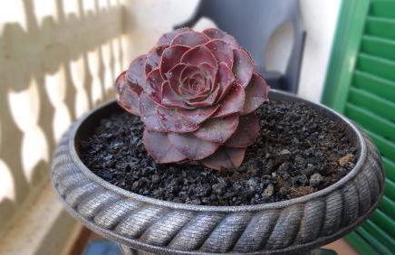 Vivienda Vacacional "La Sanjora" - Foto 18