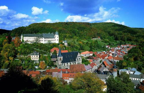Le petit Palais - Apartments - Foto 10