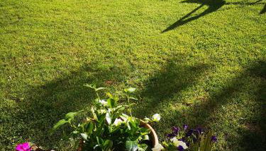 Casa Vacanze Le Violette - Foto 5