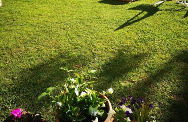 Casa Vacanze Le Violette - Foto 5