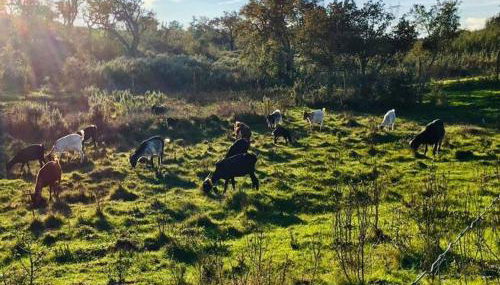 Cerro da Campaniça - Foto 4