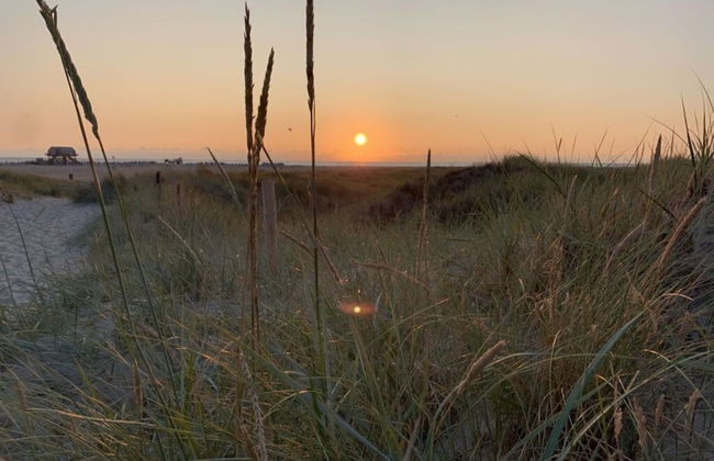 South Case in the House aft Diek - Foto 17