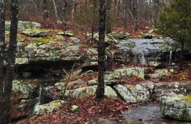 Baca Cabin Near Compton, Ponca, Buffalo River, Trails - Foto 41