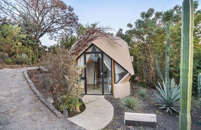 Bosque Geométrico - Foto 25