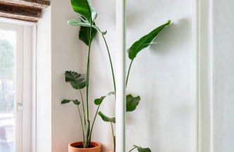 Unika Homes Casa Bella - Photo 19