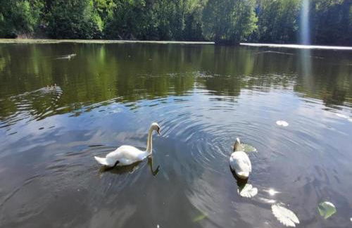 Nature Escape in Meisdorf - Foto 37