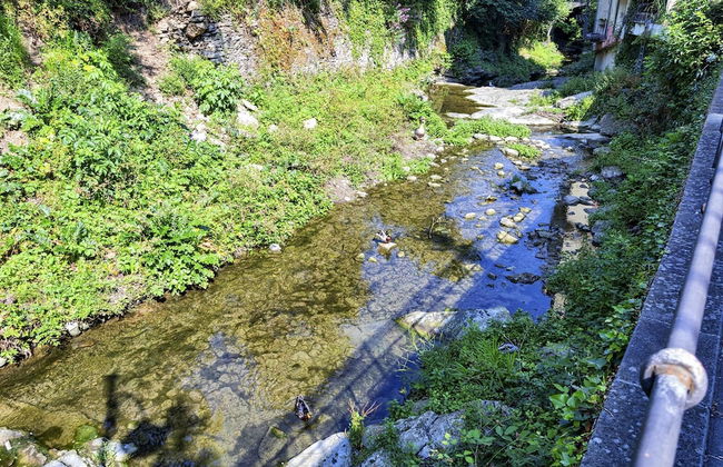 Comfy and Quiet in Camogli by Wonderful Italy - Foto 17