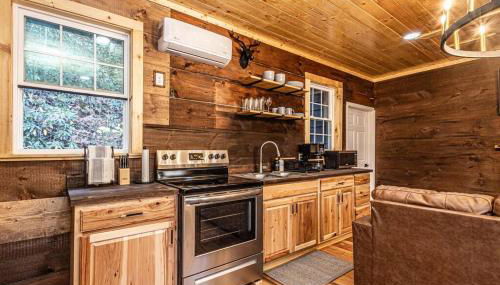 Little Blue in the Smoky Mountains - Foto 4