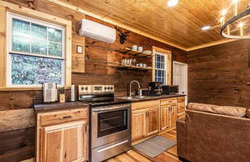 Little Blue in the Smoky Mountains - Foto 4