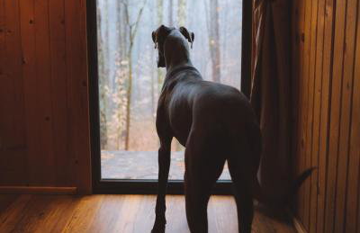 Timber Ridge - by The Chalets - Foto 15