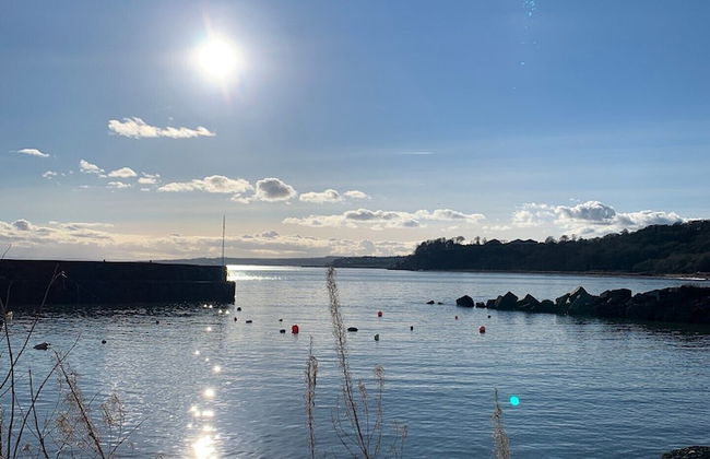 NEW Superb One Bedroom Getaway in Dysart Kirkcaldy - Foto 14