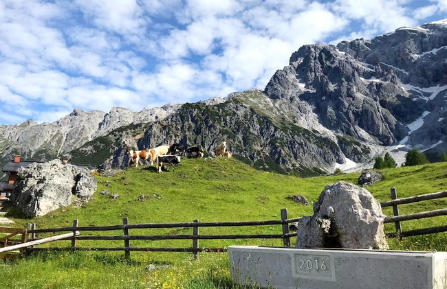 Chalet Salzburg, Dienten - Foto 51