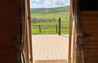 The Pod Patch - Trelerney Pod - Foto 14