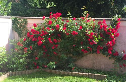 Rose Garden Studio - Foto 21