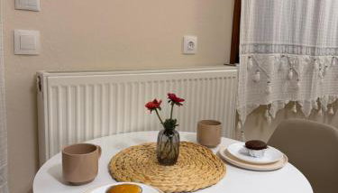 Lykno Pozar - Photo 4