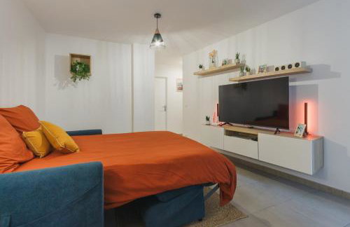 Appartement cosy hypercentre 400m de la télécabine 4-6 personnes - draps et ménage inclus - Foto 18