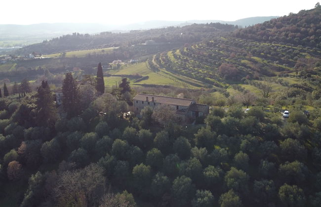 Il Mulino delle Canutole - Foto 1