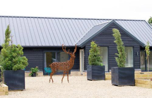 Beautiful 2 Bedroom Barn -Stansted Airport 2 miles - Foto 36