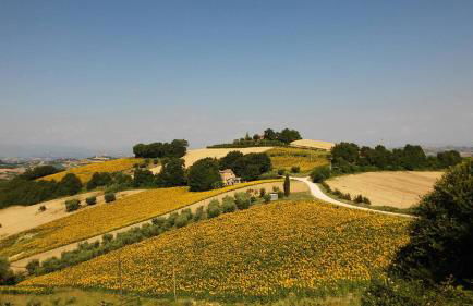 Casale Il Picchio Verde - Foto 26