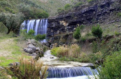 Sitio Terra do Loureiro - Foto 45