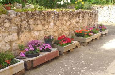 El Salegar - Foto 30