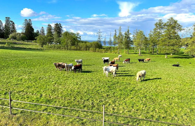 7 Person Holiday Home in Hova-by Traum - Foto 25