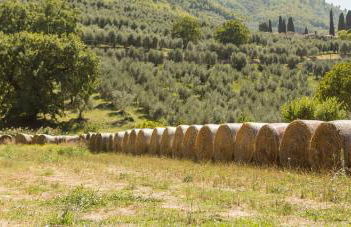 Agriturismo I Melograni - Photo 28