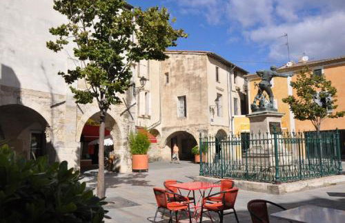 Duplex au Coeur de Lunel - Foto 19